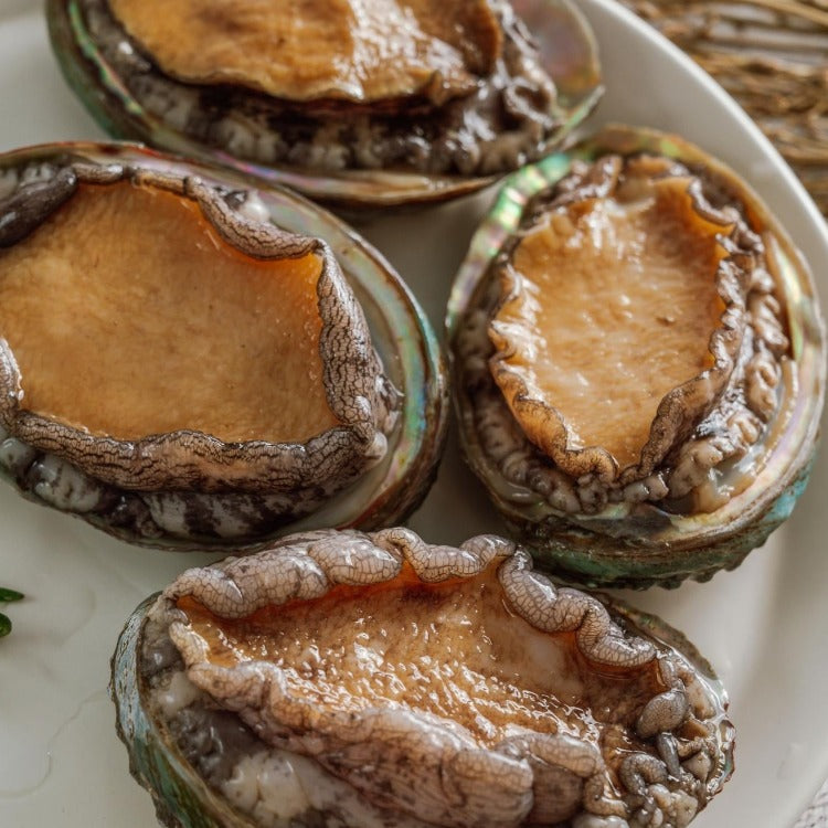 Raw abalones on a white plate, ready for cooking. Fresh and high-quality, perfect for various seafood dishes and gourmet recipes