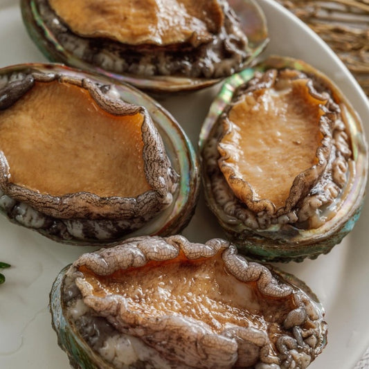 Raw abalones on a white plate, ready for cooking. Fresh and high-quality, perfect for various seafood dishes and gourmet recipes