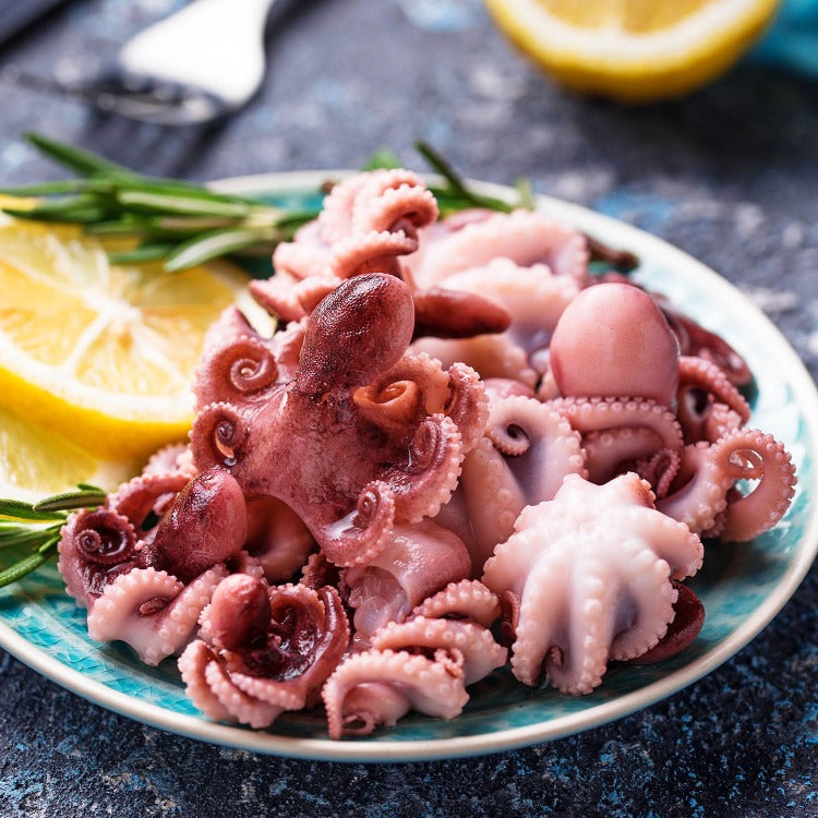 Tender cooked baby octopus served on a ceramic plate with lemon and herbs, ready for a delicious seafood feast. Ideal for Mediterranean or Asian inspired dishes