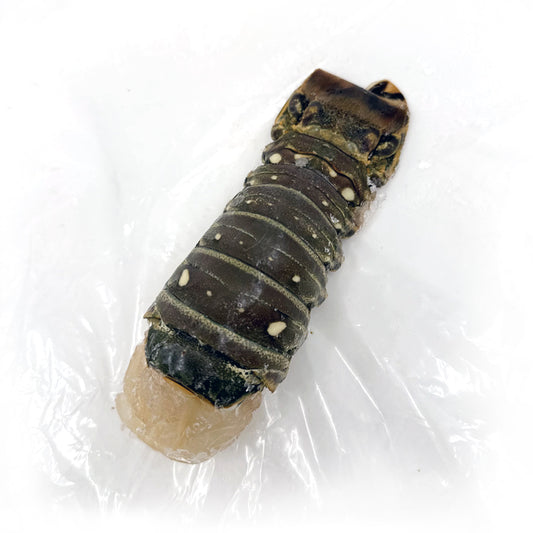 Vacuum-sealed raw lobster tail, showcasing its distinctive striped shell and plump, juicy flesh, preserved for freshness