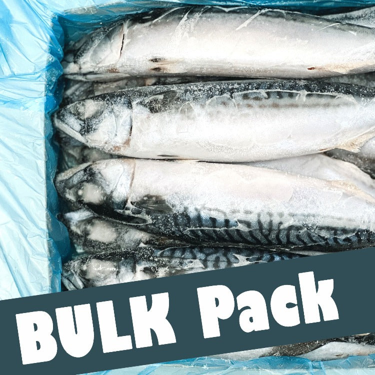 Bulk pack of frozen mackerel in blue plastic lining, showcasing high-quality whole fish ready for distribution and sale.