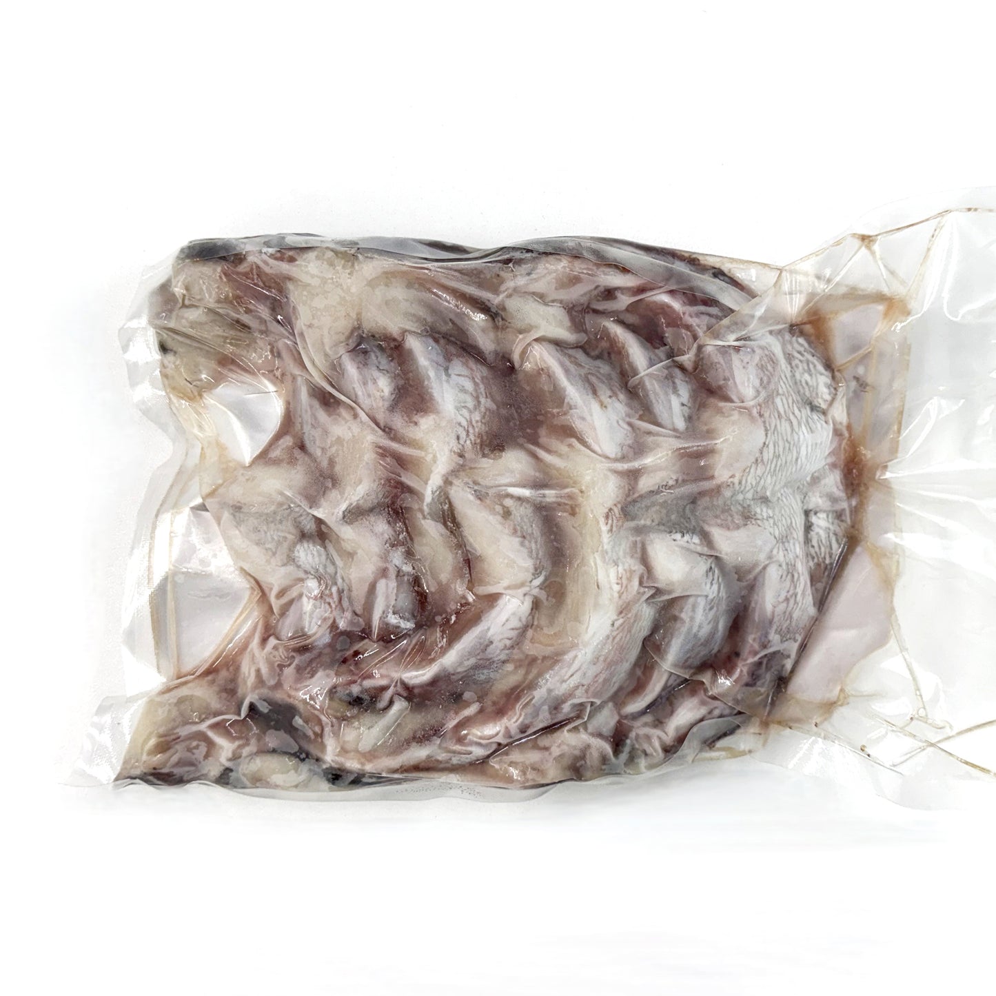 Madai Kama (Red Seabream Collar)