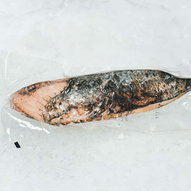 Vacuum-sealed grilled skipjack tuna (Katsuo tataki) fillet on ice, highlighting its charred exterior and tender flesh. The packaging ensures freshness and quality