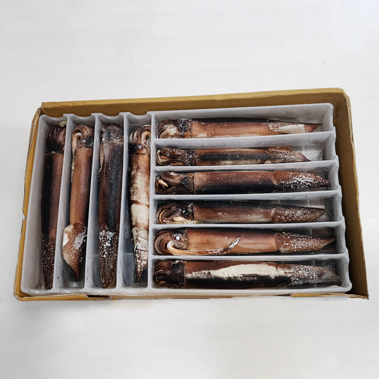Frozen Whole Squid Neatly Packed in Individual Compartments