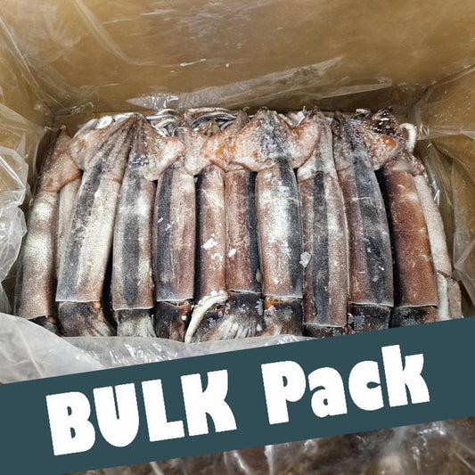 Whole Squid (Bulk) 13.2LB
