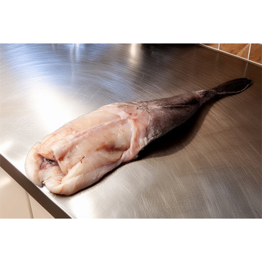 Monkfish Tail Wild Caught