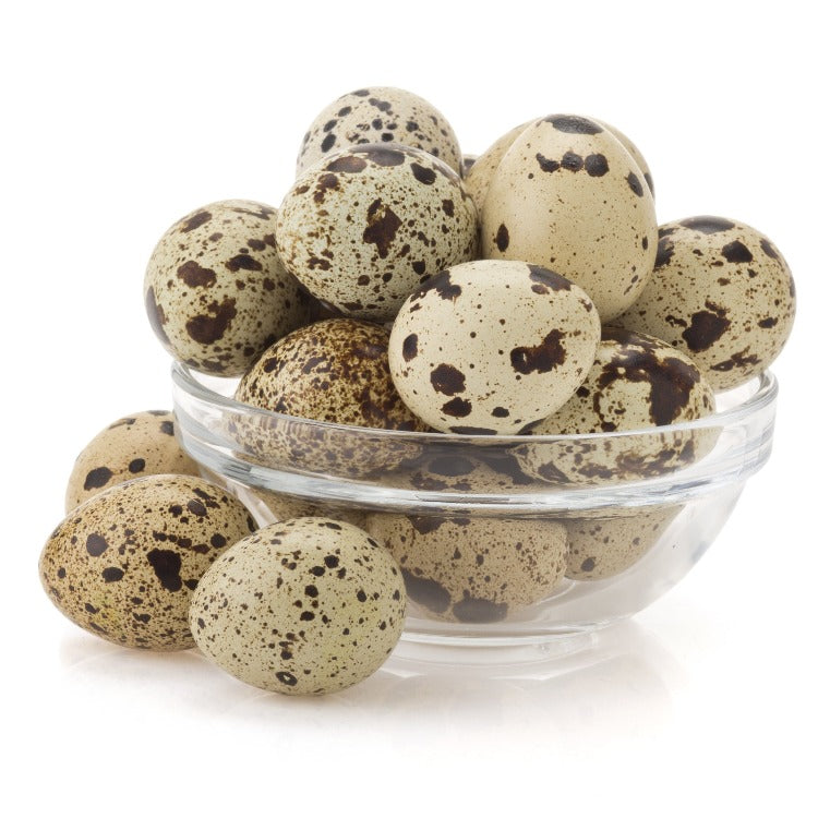 "A bowl filled with spotted quail eggs, showcasing their distinctive markings and fresh quality. Perfect for gourmet cooking and unique culinary creations