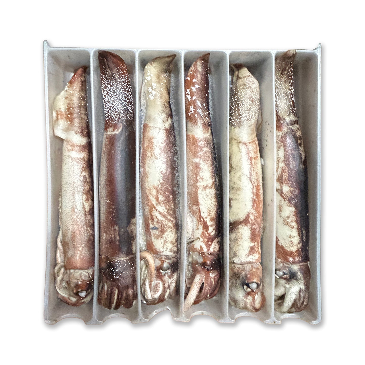 Whole Squid (Bulk) 13.2LB