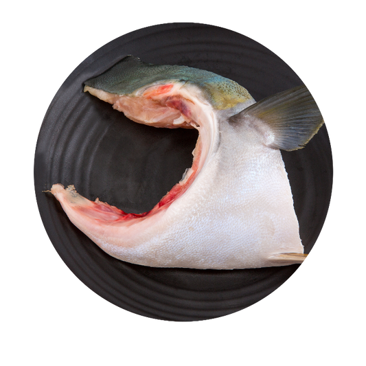 A fresh Hamachi Kama displayed on a black plate, showcasing the meaty collar part of yellowtail