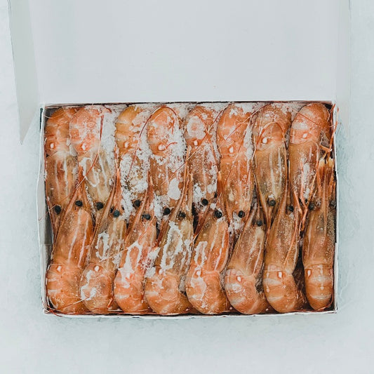 Top view of frozen Botan Ebi (spot prawns) neatly arranged in an open box on ice