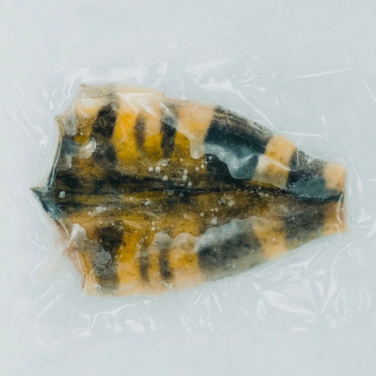 Seasoned Atka mackerel fillet vacuum-sealed for freshness, highlighting the flavorful preparation