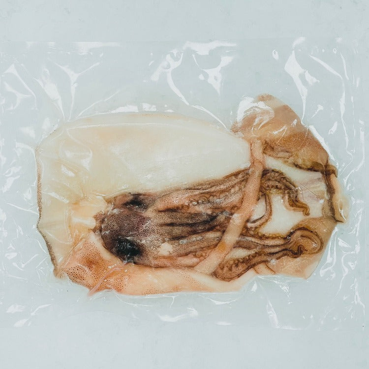 Vacuum-sealed package of cleaned squid, fresh and ready for cooking