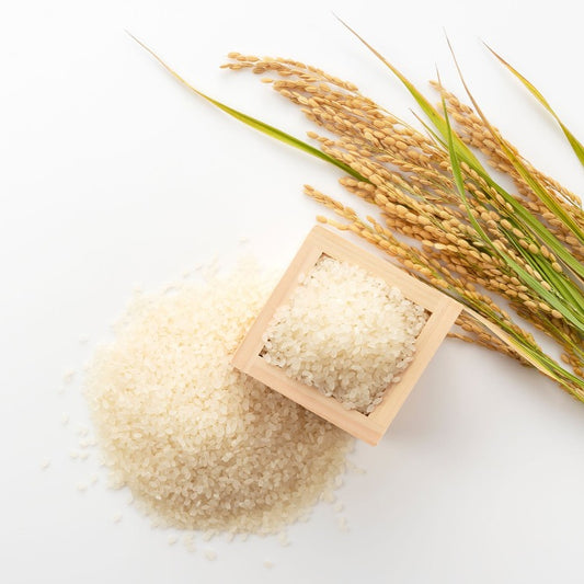 Uncooked rice grains spilling from a small wooden box, accompanied by rice stalks, artistically arranged on a white background. Represents the natural source and purity of the product