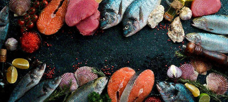 All Seafood