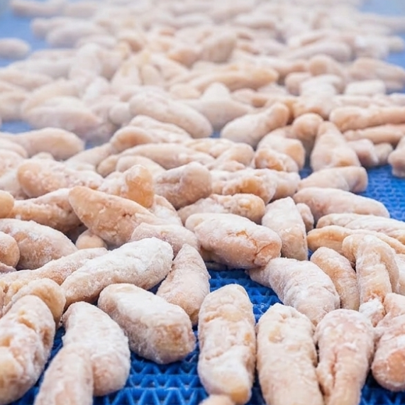 Pollock roe IQF on a blue conveyor belt in a processing plant