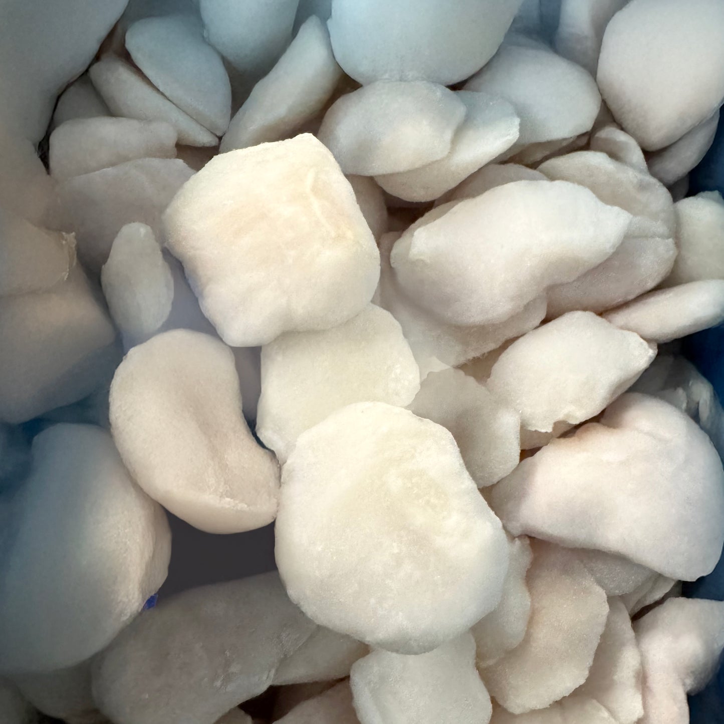 Wild Alaska Halibut Cheek 1.5LB
