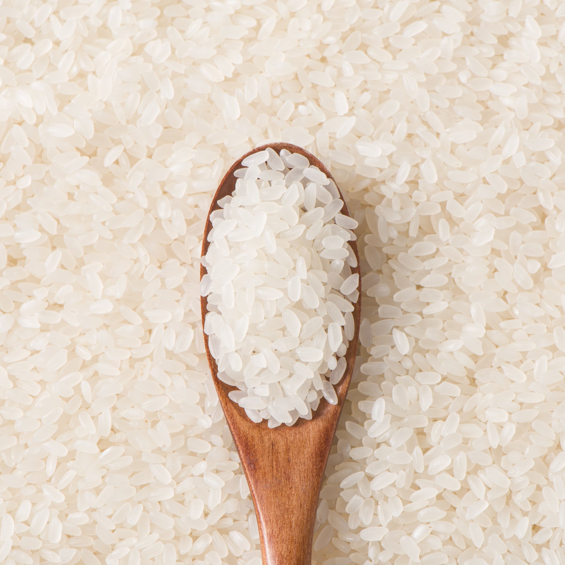 Close-up of milled short grain rice with a wooden spoon filled with rice grains