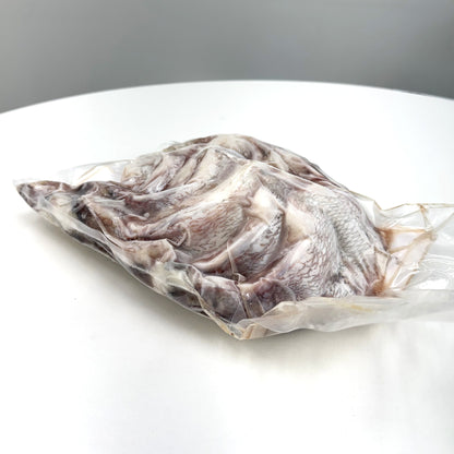 Madai Kama  (Red Seabream Collar)