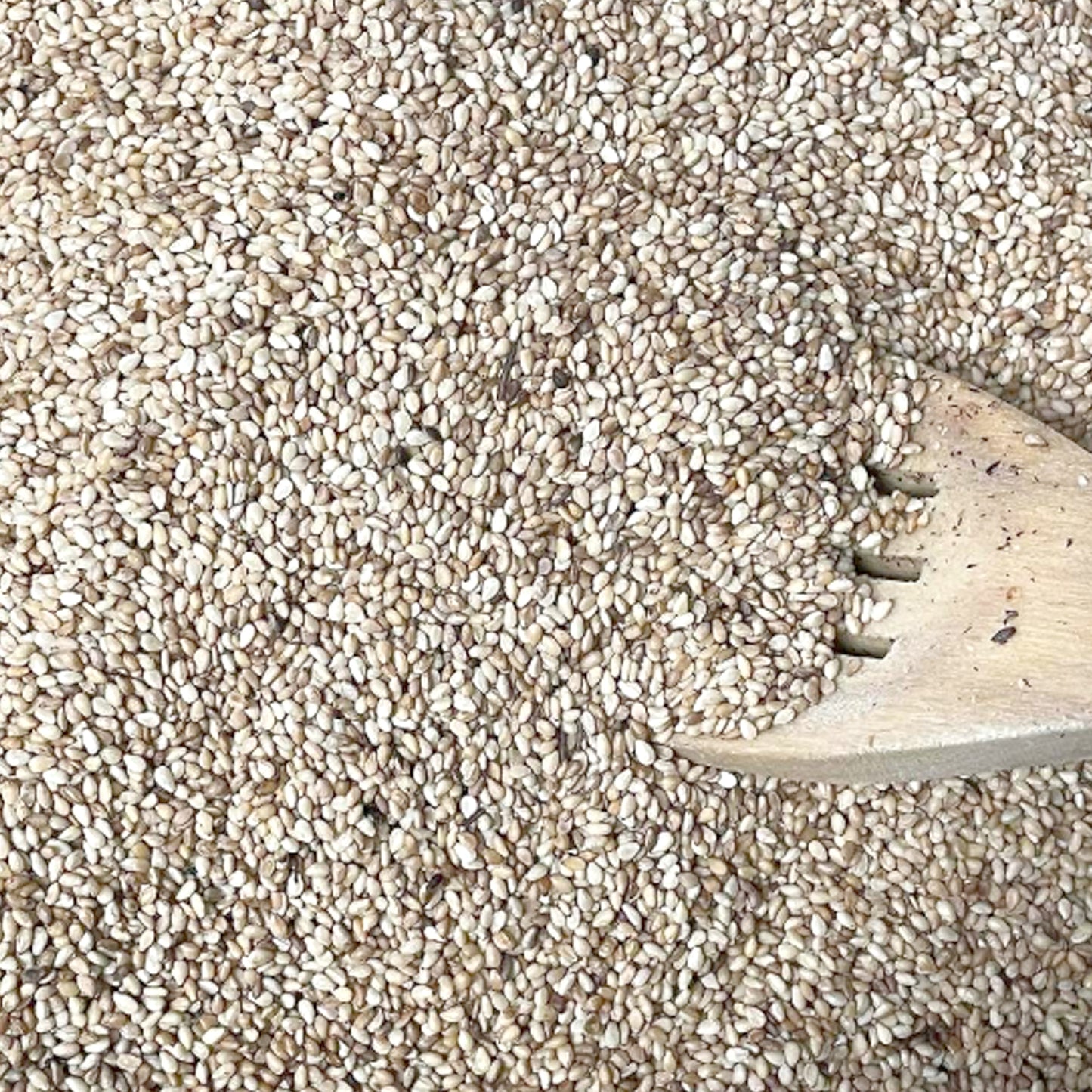 Roasted Sesame Seeds 2.2LB