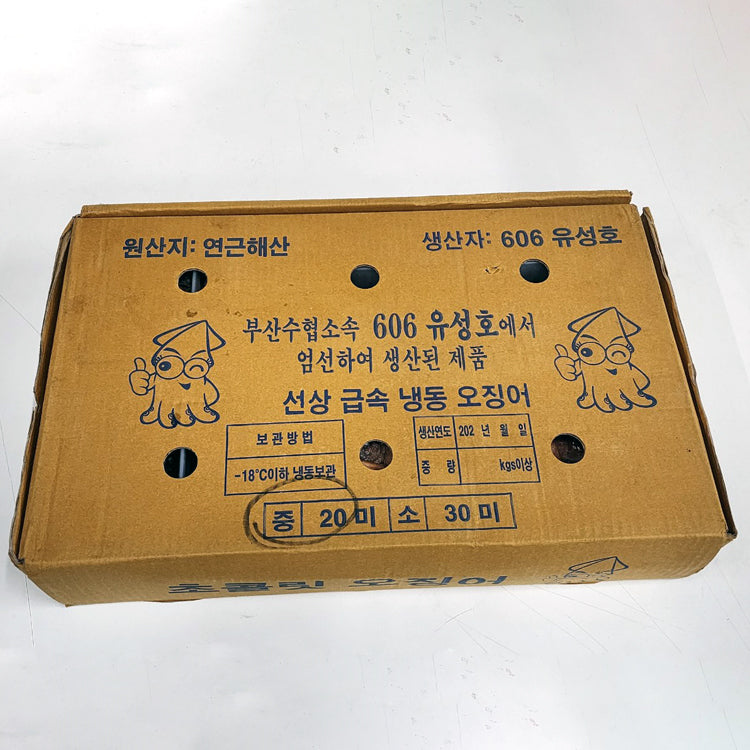 Cardboard Box of Frozen Whole Squid from Yeongdeok Sea