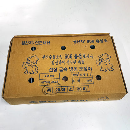 Cardboard Box of Frozen Whole Squid from Yeongdeok Sea
