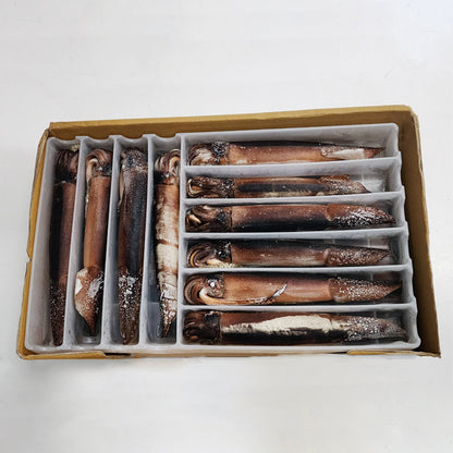 Frozen Whole Squid Neatly Packed in Individual Compartments