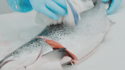 FRESH Atlantic Salmon Fillet 3.8LB