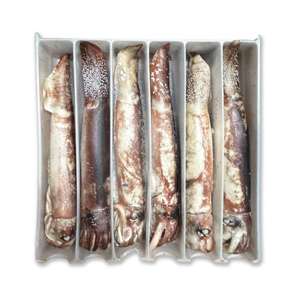 Whole Squid (Bulk) 13.2LB