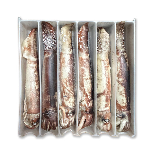 Whole Squid (Bulk) 13.2LB